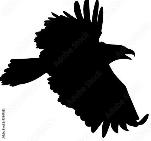 Fliegender Adler Silhouette
