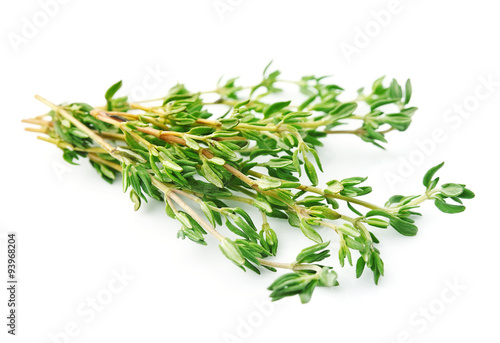 Thyme herbs