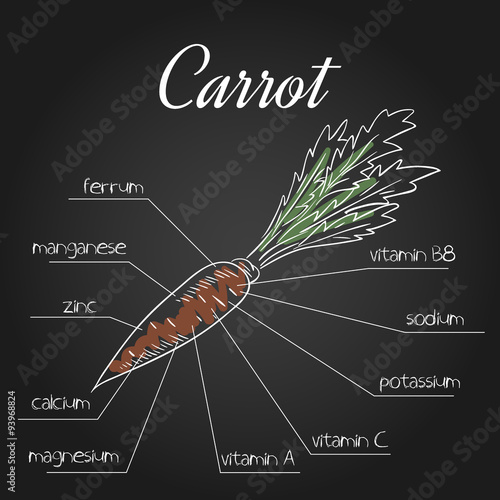  vector illustration of nutrient list for carrot