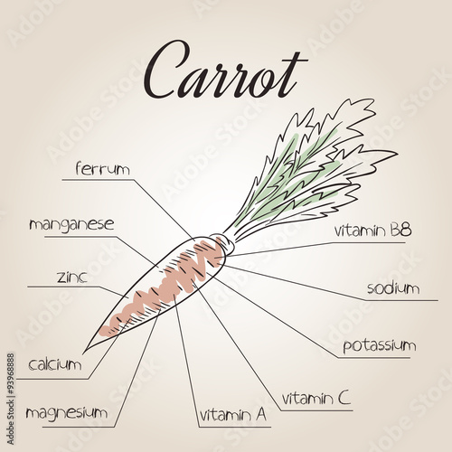  vector illustration of nutrient list for carrot