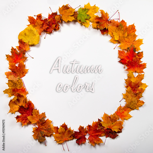 Autumn leaves round frame