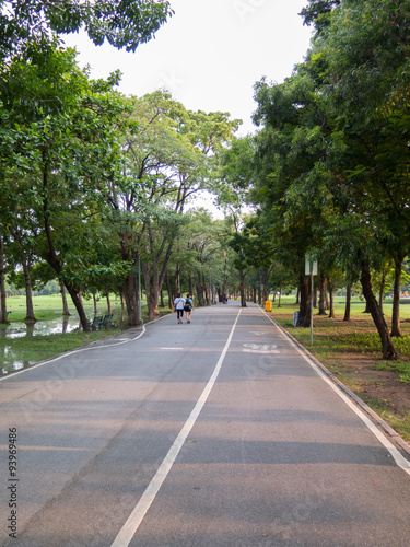 Wallpaper Mural view of bike road in a park Torontodigital.ca