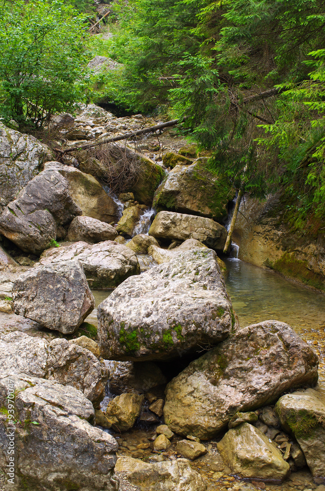 Homole gorge in Pieniny mountains, Poland Homole gorge in Pieniny mountains, Poland