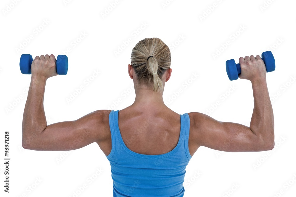 Rear view of muscular woman lifting dumbbells Rear view of muscular woman lifting dumbbells