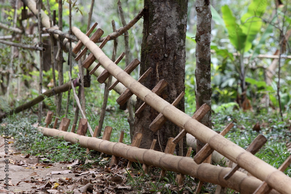 Fototapeta premium Balinesisches Bambusleiter
