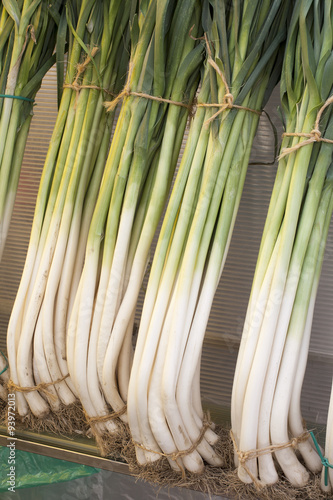 bunches of onions and leeks   organic farming