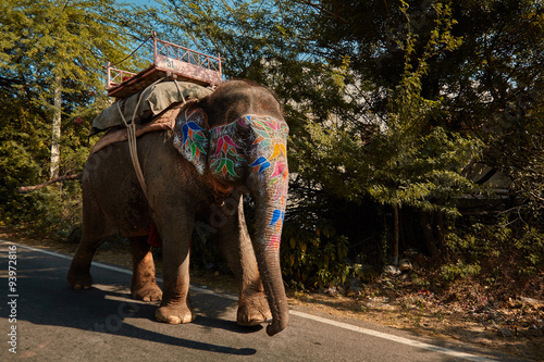 Painted elephant walking on road in Japiur city