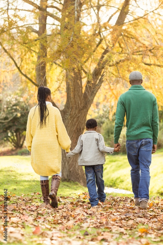 Rear view of a young family