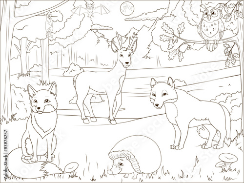 Coloring book forest with cartoon animals 