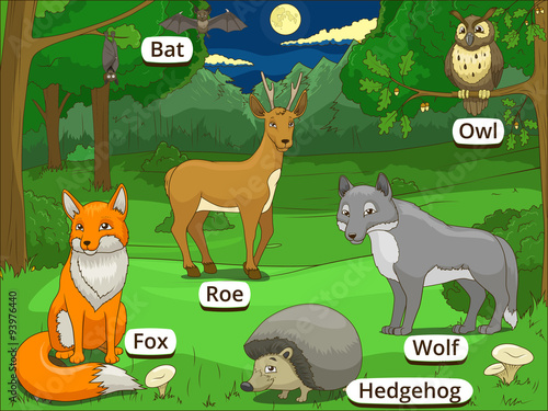 Forest with cartoon animals names 
