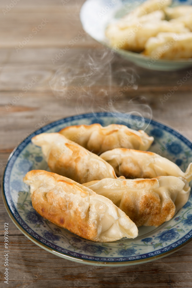 Asian dish pan fried dumplings Asian dish pan fried dumplings