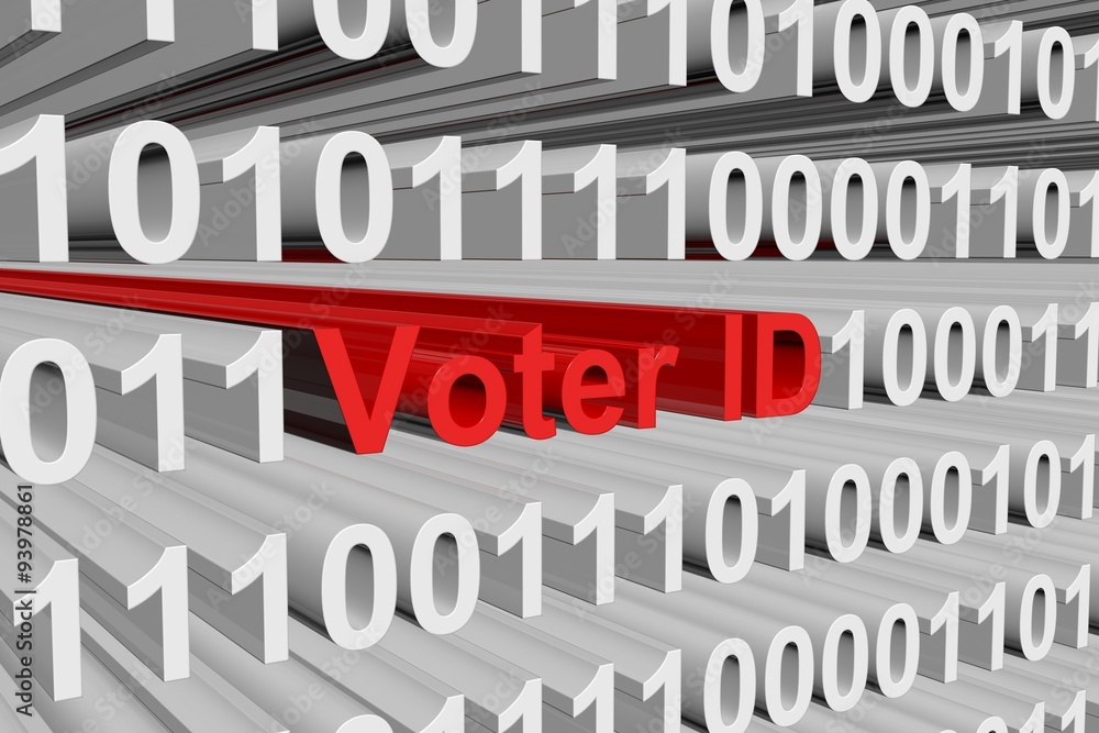 Voter ID is represented as a binary code