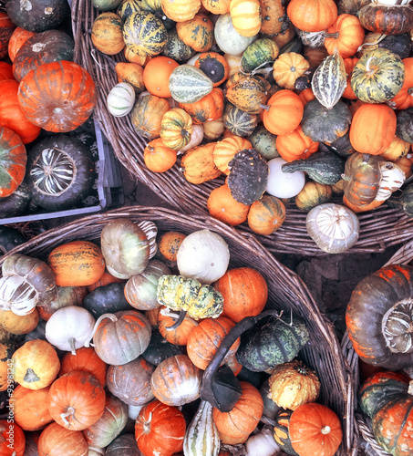 Colorful pumpkins background - Autumn tones