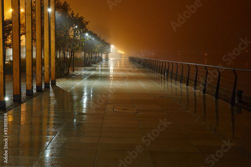 The avenue of city park is shown at night in a fog