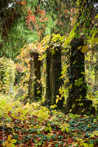 Fototapeta Naklejka Na Ścianę i Meble -  Friedhof im Herbst