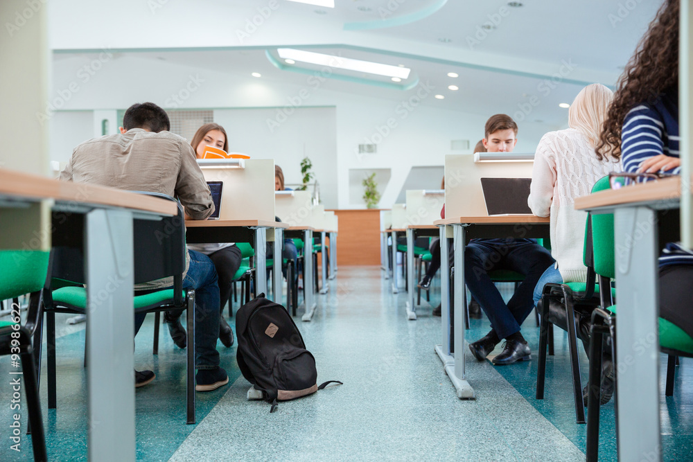 Students studying in library Students studying in library