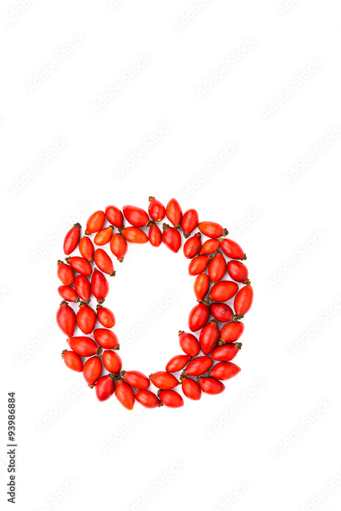 Red hip rose letter o Red hip rose letter o