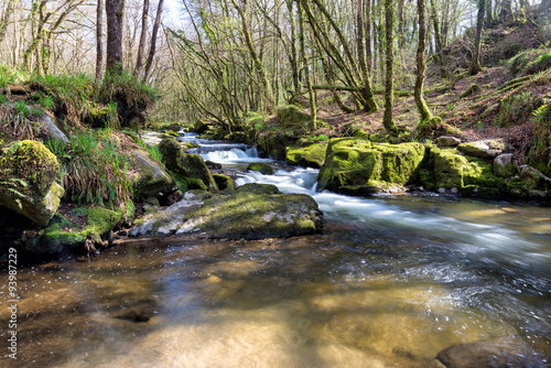 Winter at Golitha Falls