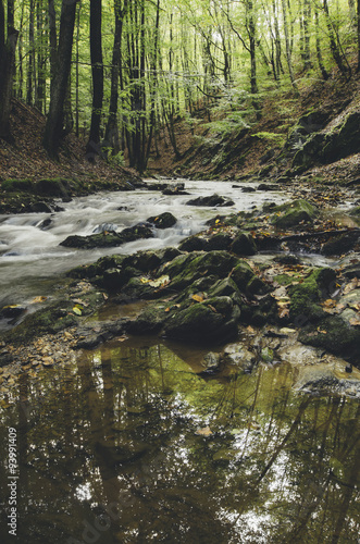 forest river in autumn