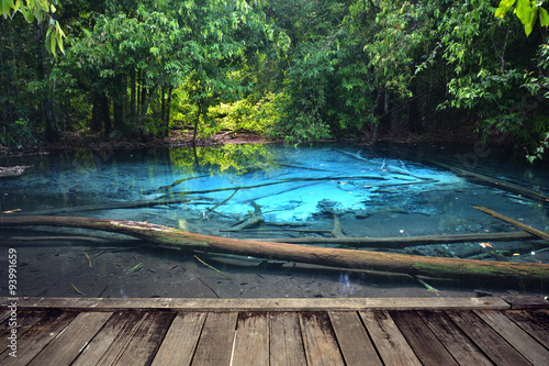 Fototapeta Naklejka Na Ścianę i Meble -  Blue water in the pool and in the forest at Thailand./Emerald pool