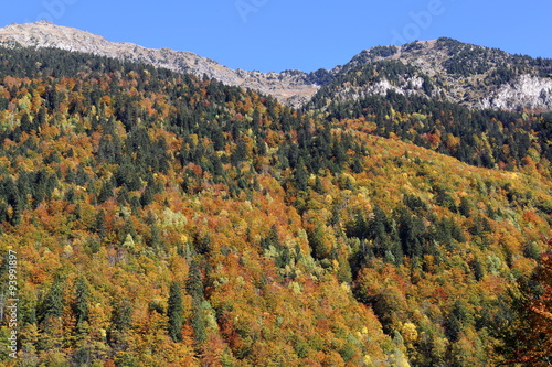 Autumn hillsides