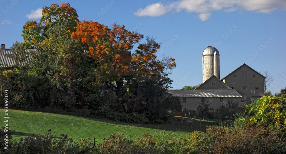 Rural Farmhouse in Autumn