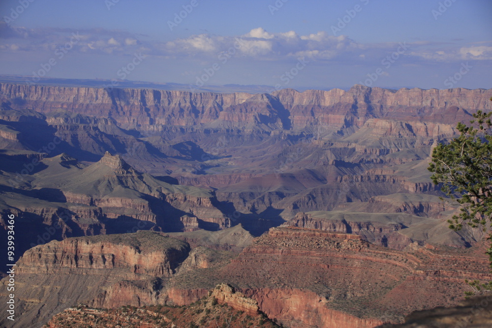 sauvage et Grand Canyon