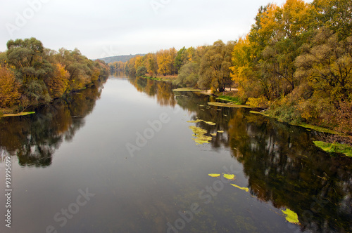 Осенний пейзаж с деревьями и рекой