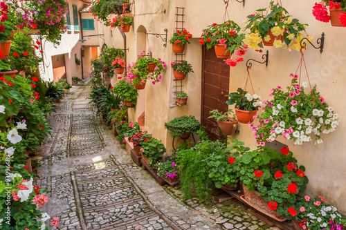 Fototapeta Naklejka Na Ścianę i Meble -  Street in small town in Italy in sunny day, Umbria
