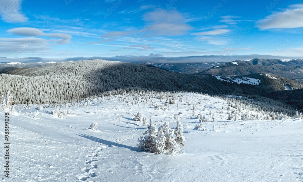 Morning winter mountain (Carpathian, Ukraine).