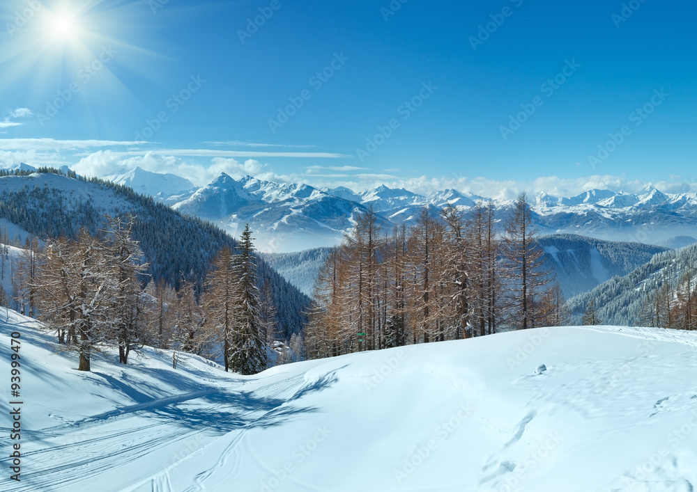 Winter grove near Dachstein mountain massif