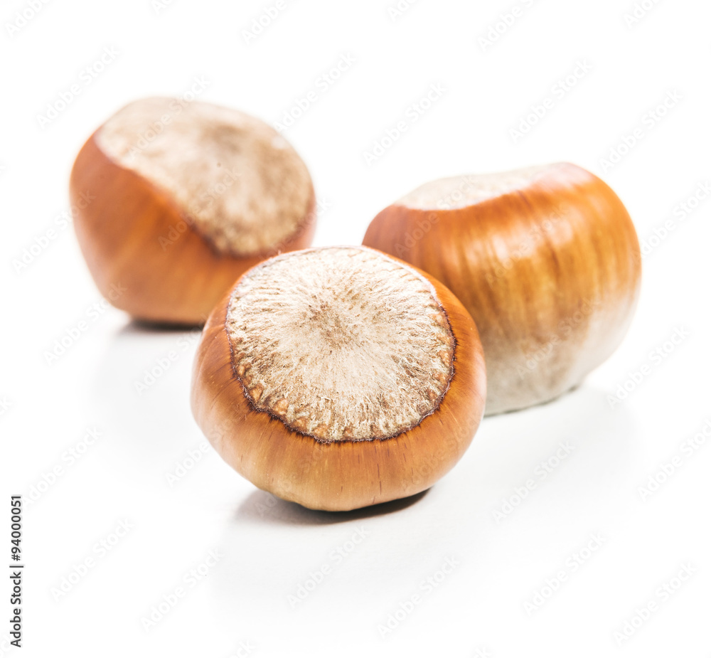 Hazelnut isolated Hazelnut isolated