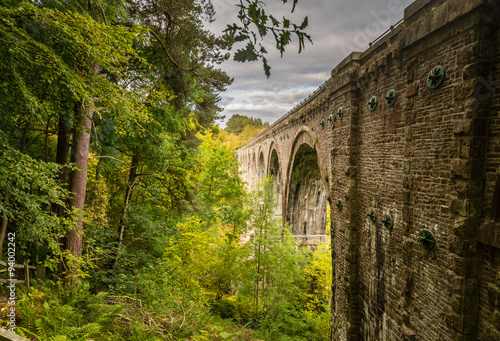 Lambley Viaduct in Woodlands © drhfoto
