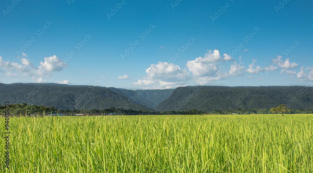 Valley Valley