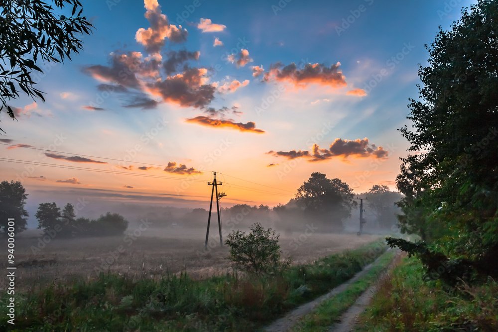 Fototapeta premium Mgły nad polami