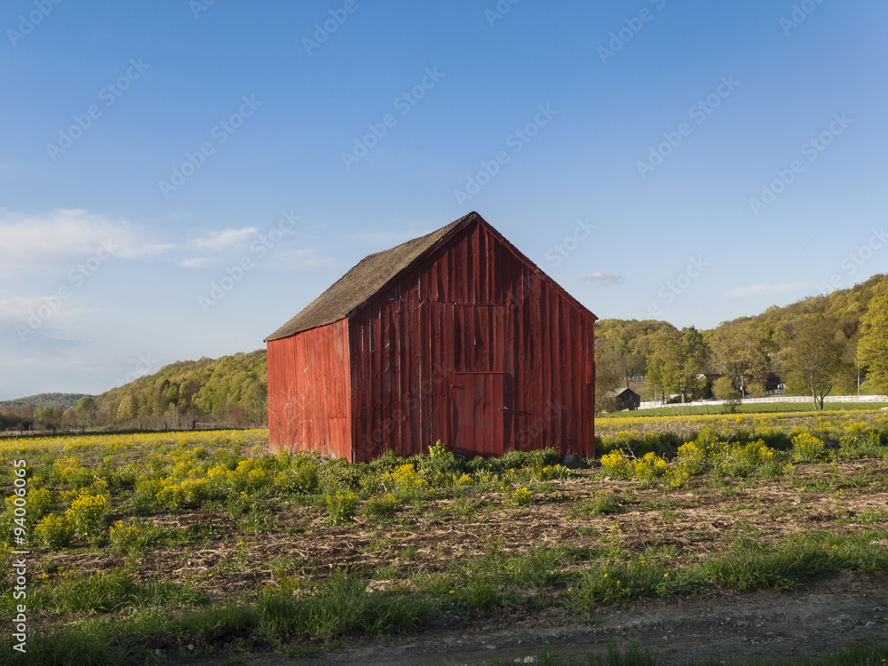 Red Wood Barn on a Grassy Plain