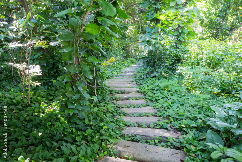 .Garden stone path in park .Garden stone path in park