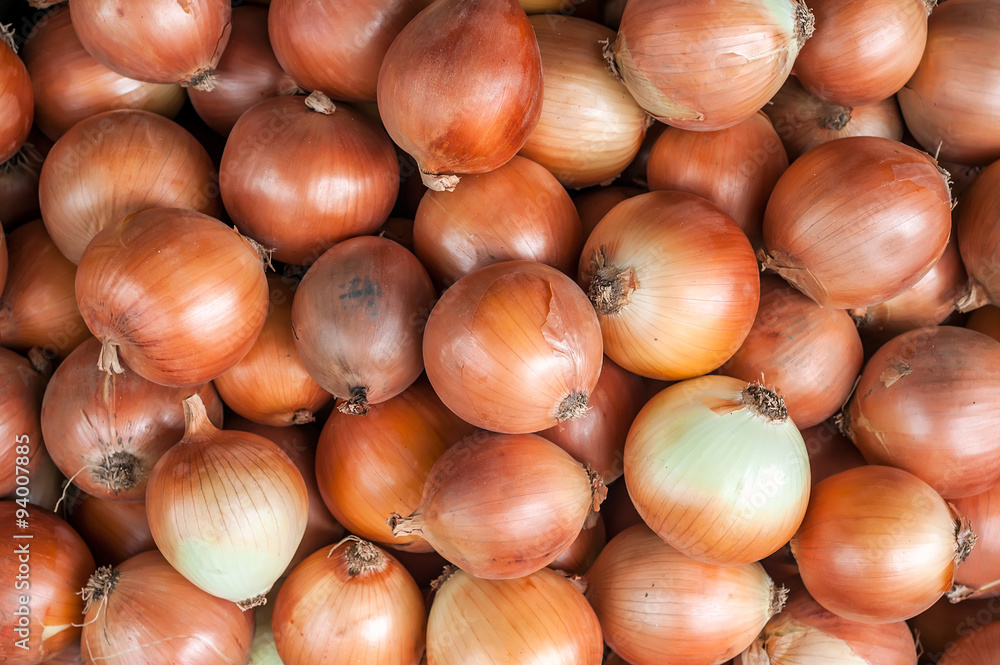 Onions background