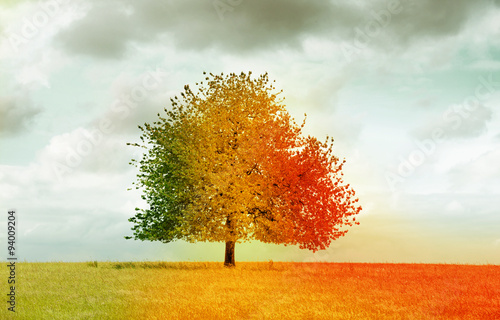 Baum im Verfärbten Blättern