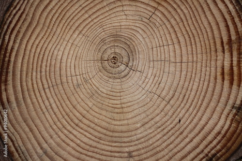 Föhren Holzstruktur