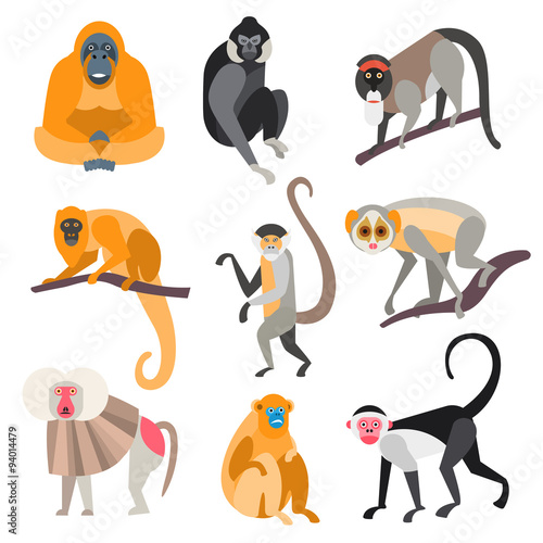 Set of Primates and Monkeys. Vector Illustration