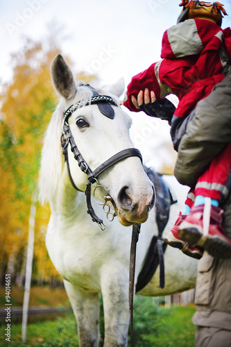 small child is petting a White horse. Autumn