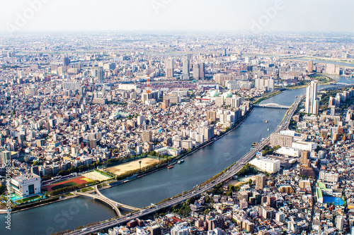 Aerial view of Tokyo, Japan © marcociannarel