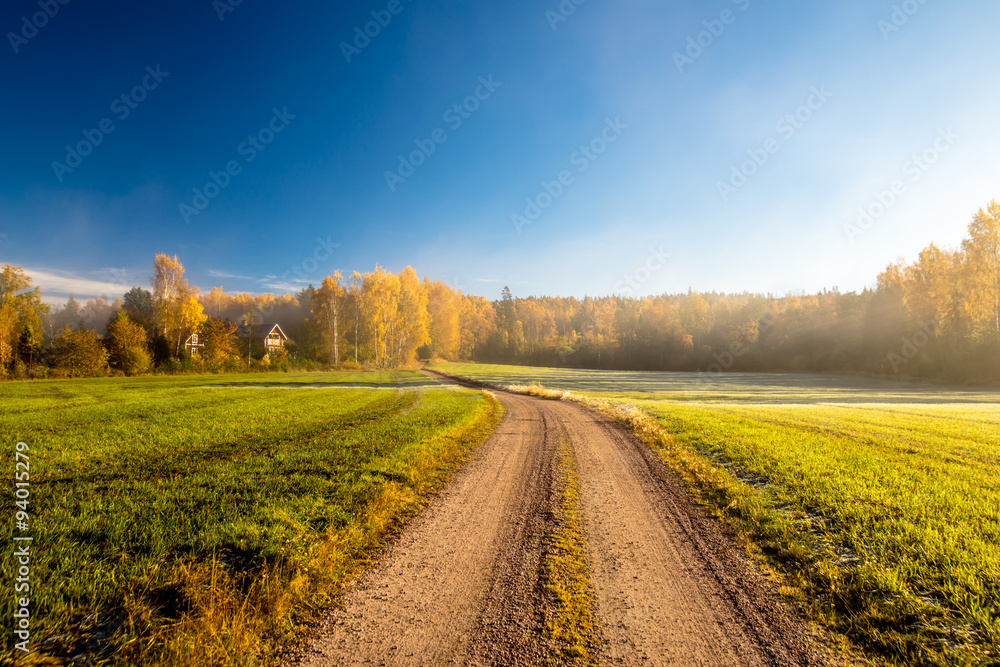 Obraz premium Empty autumn road