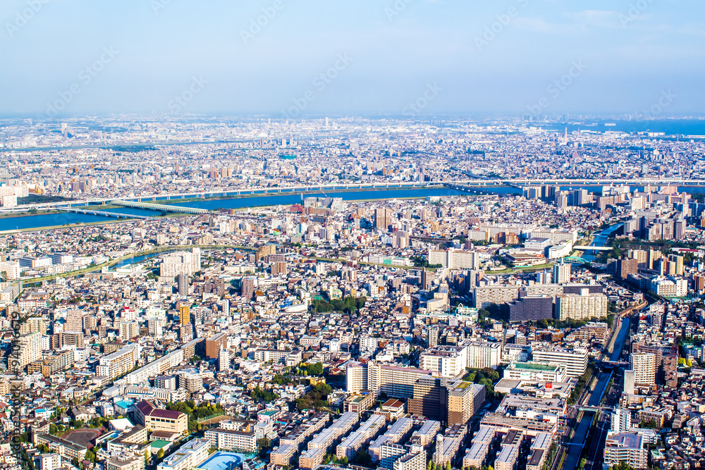 Fototapeta premium Aerial view of Tokyo, Japan