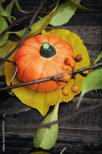 Herbst - Hintergrund - Kürb...