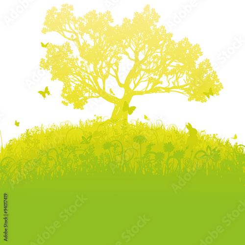 Vereinzelter Baum auf einem Wiesenhügel