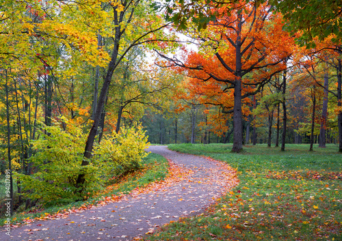 Fototapeta Naklejka Na Ścianę i Meble -  View  colorful park alley in autumn.