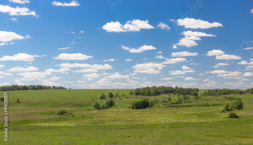 Green landscape