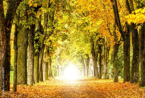Melancholische) Herbstidylle – Stock-Foto | Adobe Stock